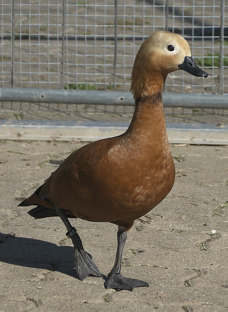 小溪與山脊