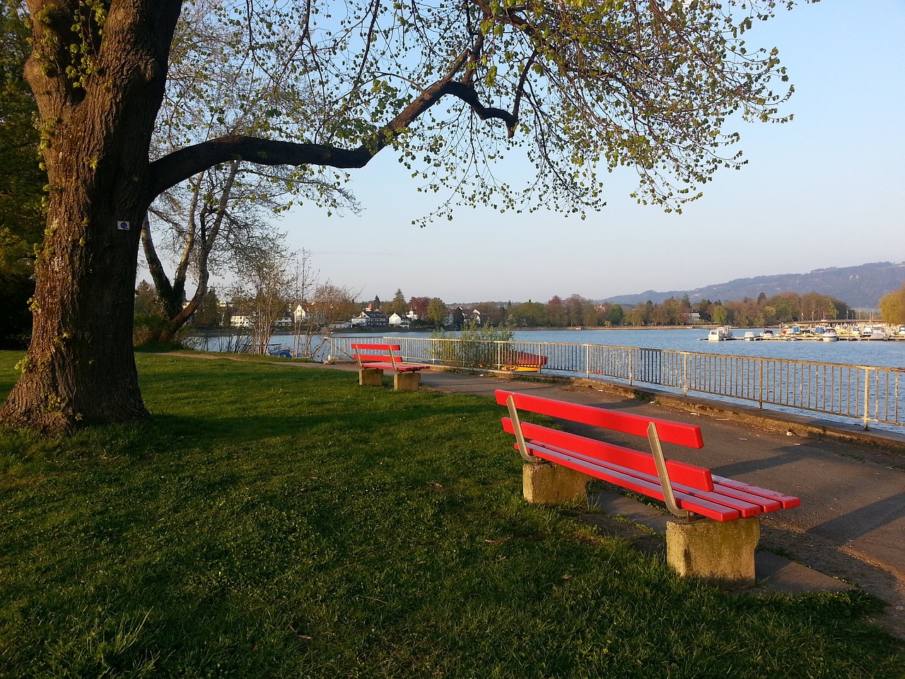 变的发球策 变的发球策