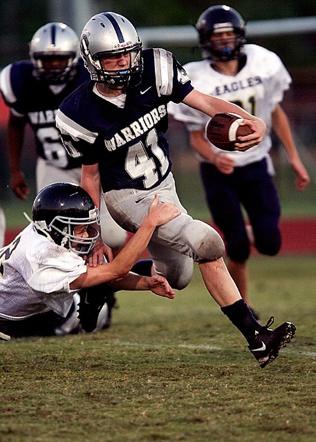 蒂奇的依赖 蒂奇的依赖