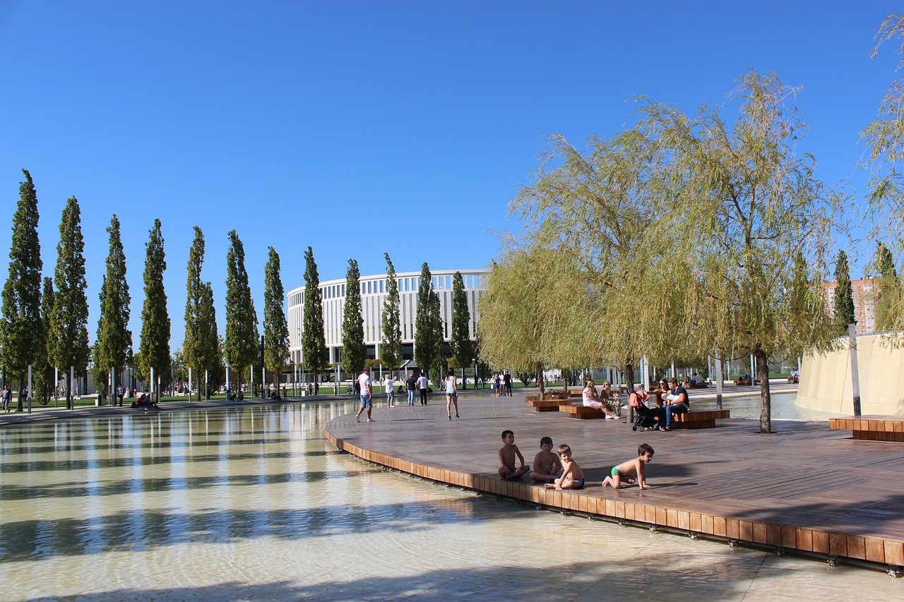 棒球界的传 棒球界的传