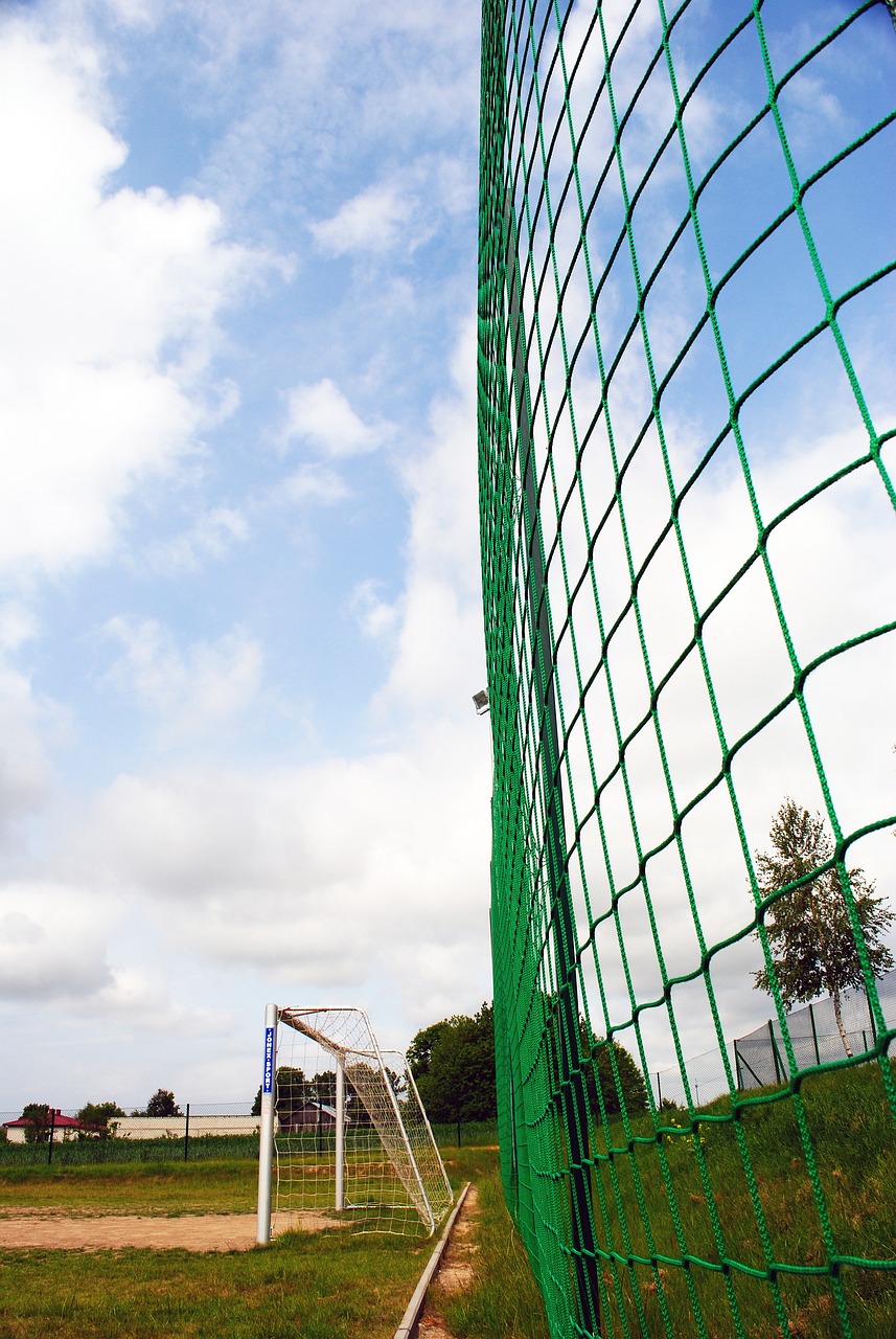 了其在国际 了其在国际