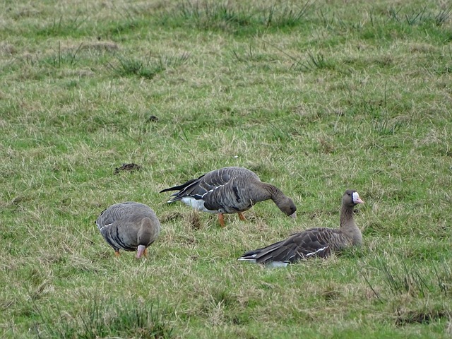 年轻球员完 年轻球员完