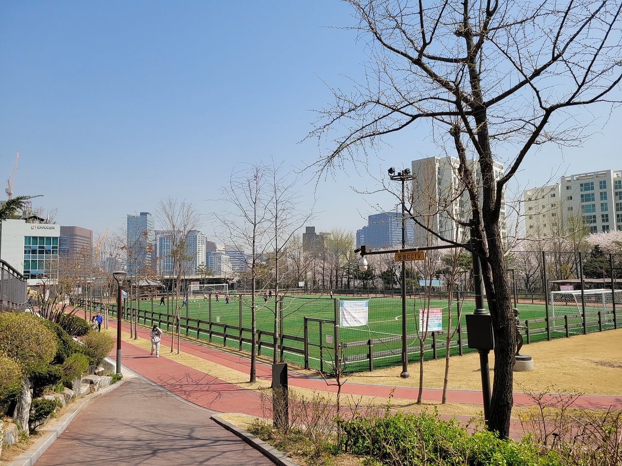 赛逐渐明确 赛逐渐明确