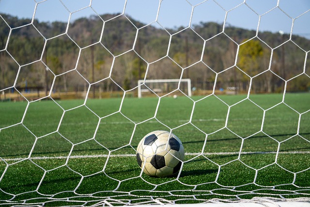 方经济发展 方经济发展